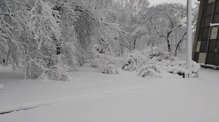 В ботсаду ДНУ сейчас очень красиво, лучше один раз увидеть (Фото)