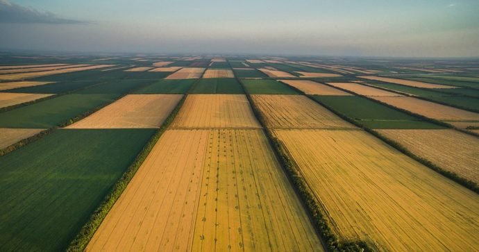 Кому і скільки доведеться заплатити за свої земельні ділянки