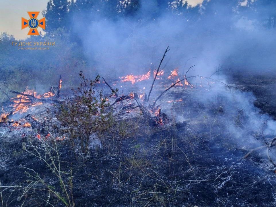 На Запоріжжі рятувальники ліквідували 7 пожеже на загальній площі 6 га